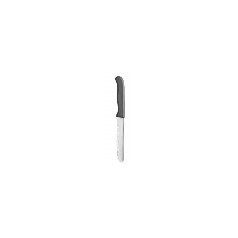 Nóż śniadaniowy Denis 21cm Galicja 8507