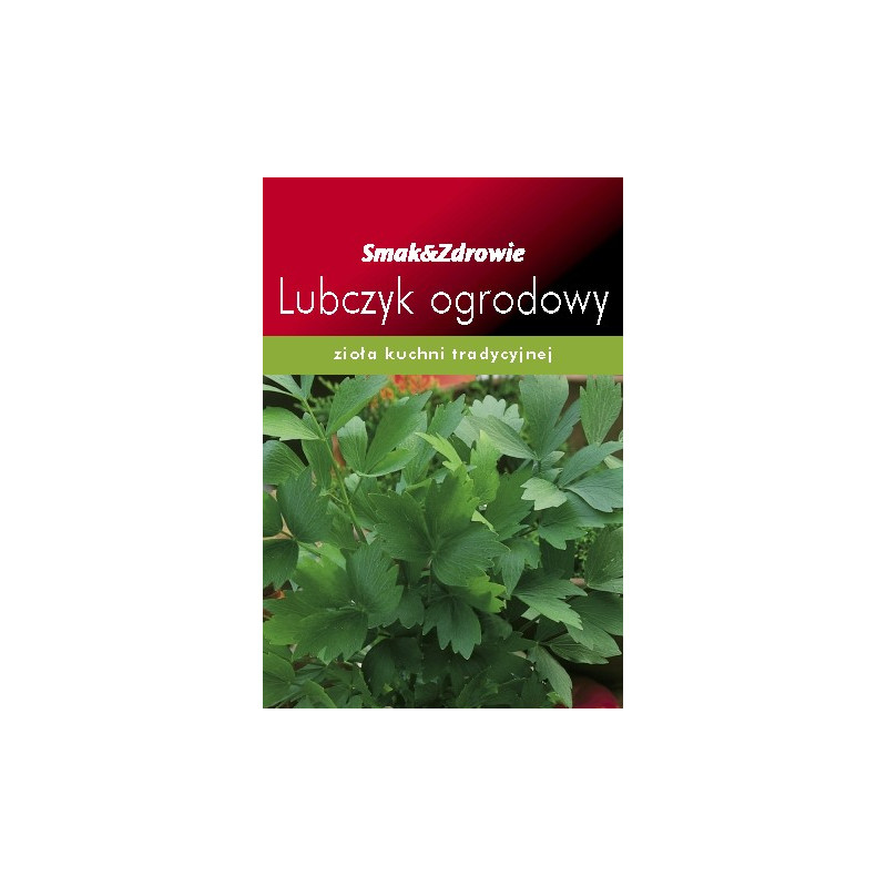 FLORALAND Lubczyk ogrodowy Levisticum officinale