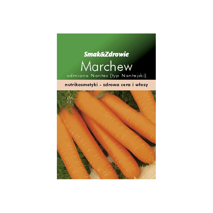 FLORALAND Marchew średniowczesna Daucus carota