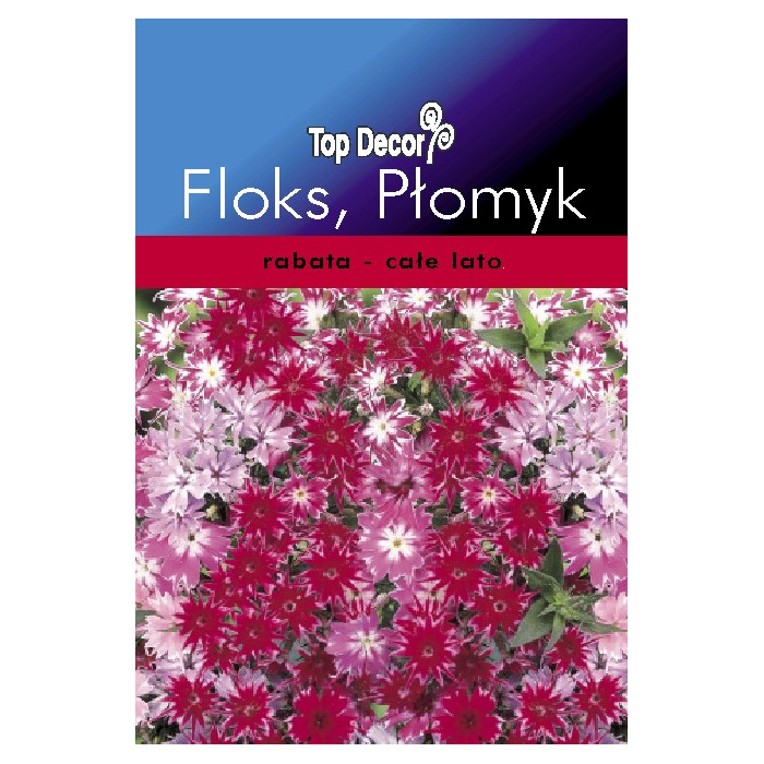 FLORALAND Floks, Płomyk Phlox drummondii