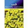 FLORALAND Aksamitka wąskolistna Tagetes tenuifolia