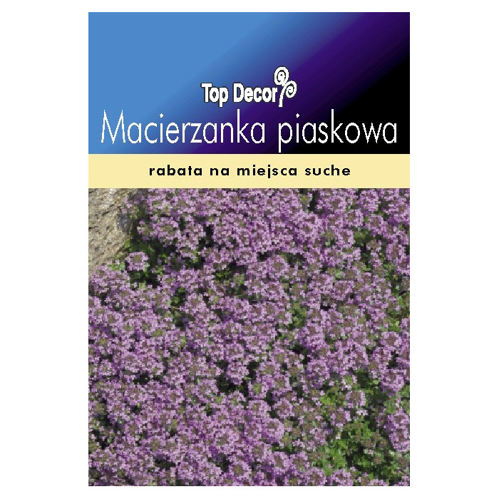 FLORALAND Macierzanka piaskowa Thymus serpyllum
